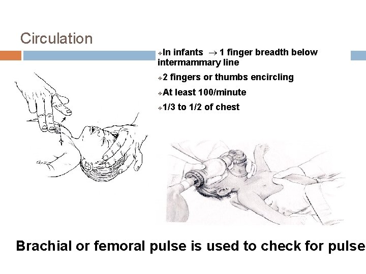 Circulation In infants ® 1 finger breadth below intermammary line ❖ 2 fingers or