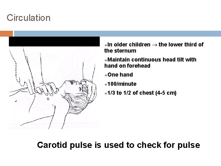 Circulation In older children ® the lower third of the sternum ❖ Maintain continuous