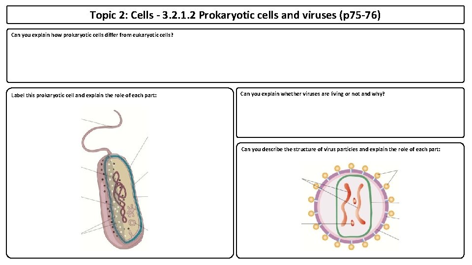 Topic 2: Cells - 3. 2. 1. 2 Prokaryotic cells and viruses (p 75