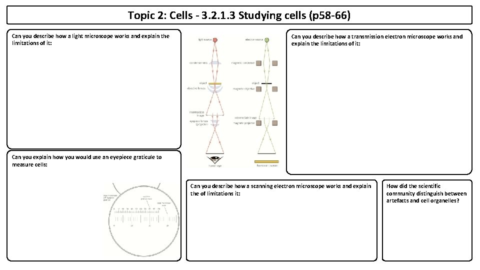 Topic 2: Cells - 3. 2. 1. 3 Studying cells (p 58 -66) Can