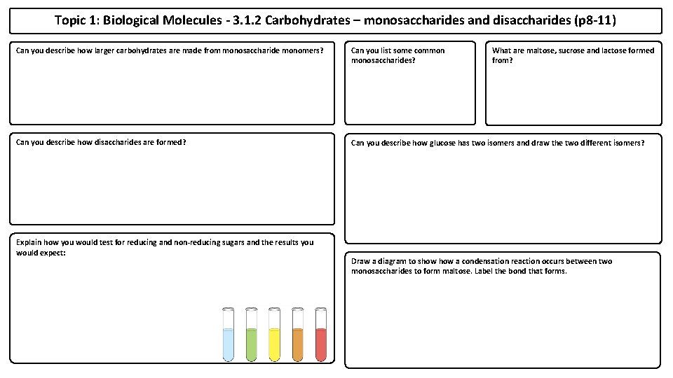 Topic 1: Biological Molecules - 3. 1. 2 Carbohydrates – monosaccharides and disaccharides (p