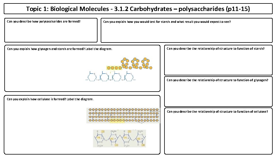 Topic 1: Biological Molecules - 3. 1. 2 Carbohydrates – polysaccharides (p 11 -15)