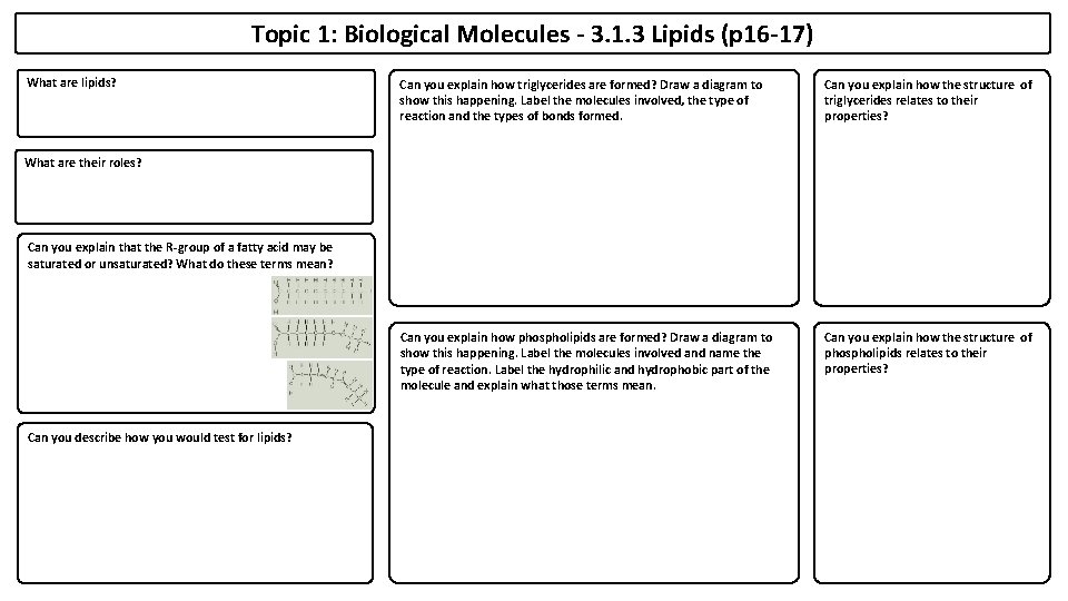 Topic 1: Biological Molecules - 3. 1. 3 Lipids (p 16 -17) What are