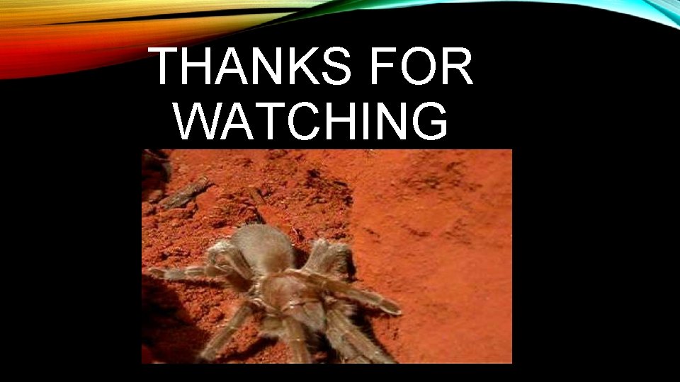 THANKS FOR WATCHING 