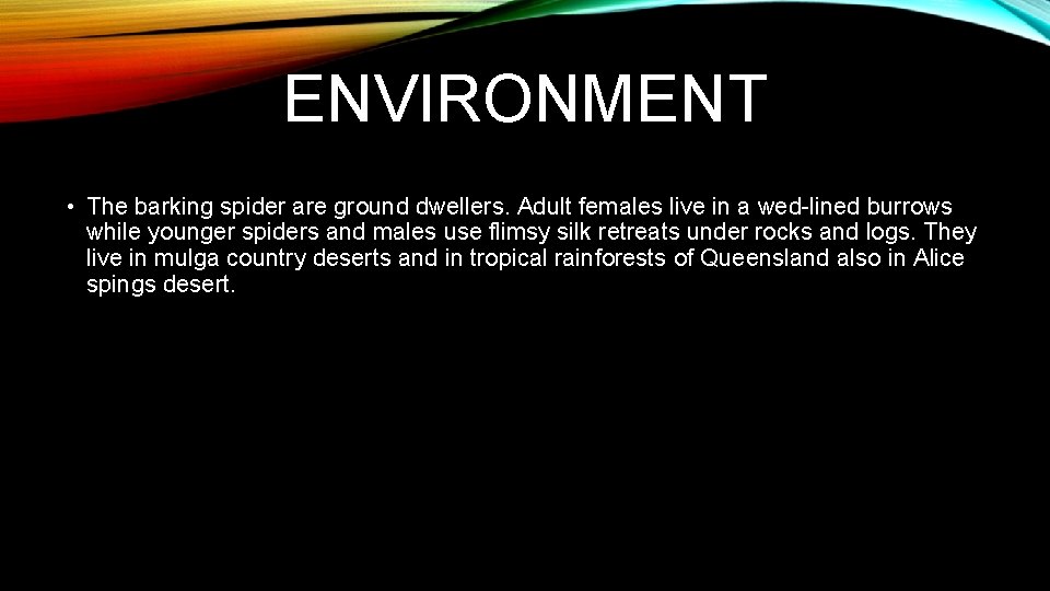 ENVIRONMENT • The barking spider are ground dwellers. Adult females live in a wed-lined