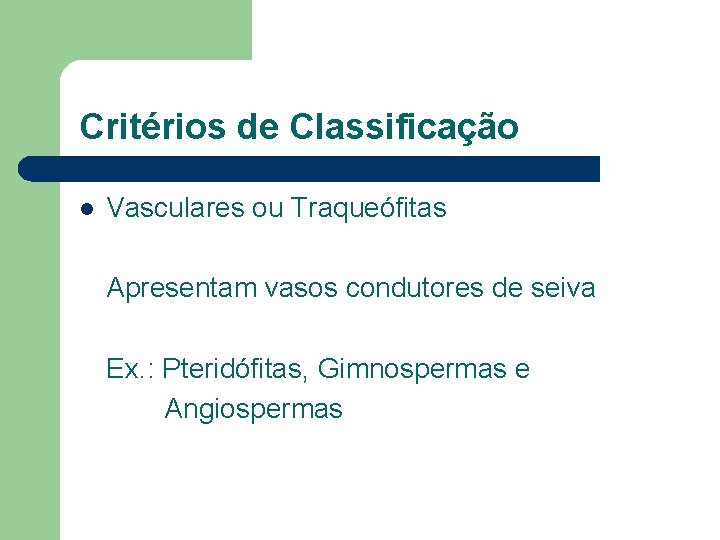 Critérios de Classificação l Vasculares ou Traqueófitas Apresentam vasos condutores de seiva Ex. :