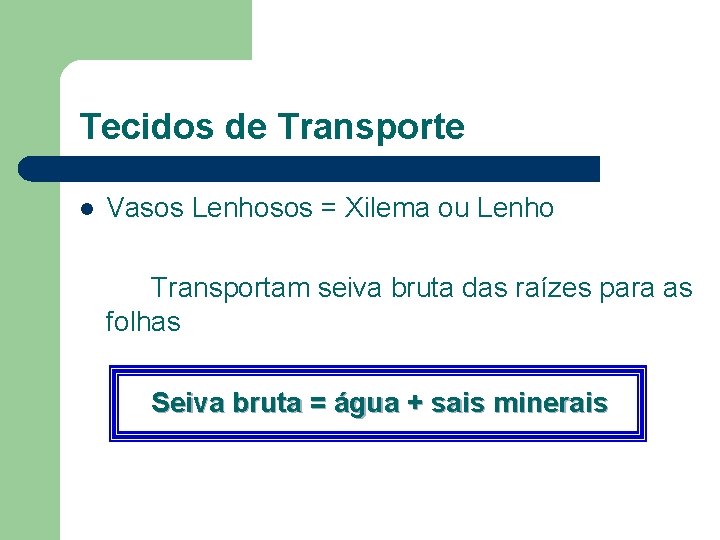 Tecidos de Transporte l Vasos Lenhosos = Xilema ou Lenho Transportam seiva bruta das