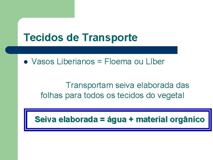 Tecidos de Transporte l Vasos Liberianos = Floema ou Líber Transportam seiva elaborada das