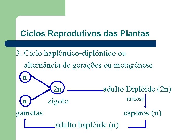 Ciclos Reprodutivos das Plantas 3. Ciclo haplôntico-diplôntico ou alternância de gerações ou metagênese n