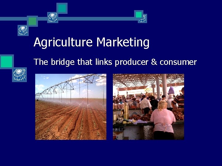 Agriculture Marketing The bridge that links producer & consumer 
