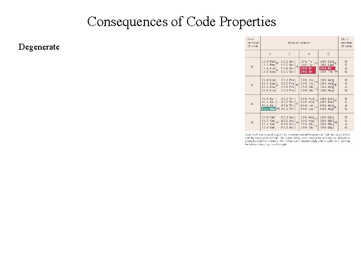 Consequences of Code Properties Degenerate 