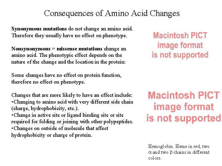 Consequences of Amino Acid Changes Synonymous mutations do not change an amino acid. Therefore