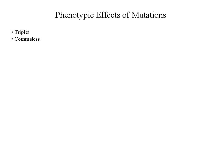 Phenotypic Effects of Mutations • Triplet • Commaless 