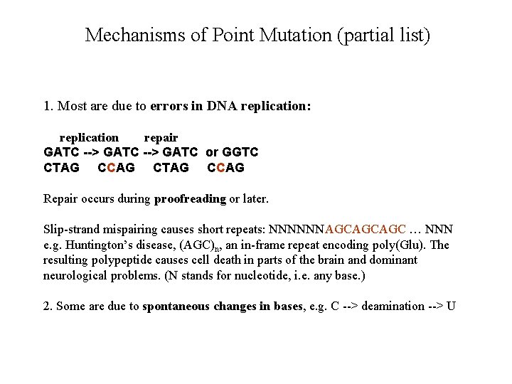 Mechanisms of Point Mutation (partial list) 1. Most are due to errors in DNA