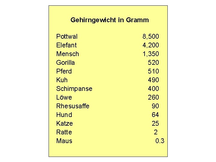 Gehirngewicht in Gramm Pottwal Elefant Mensch Gorilla Pferd Kuh Schimpanse Löwe Rhesusaffe Hund Katze