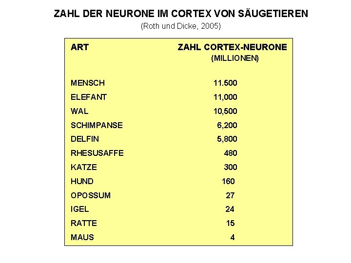 ZAHL DER NEURONE IM CORTEX VON SÄUGETIEREN (Roth und Dicke, 2005) ART ZAHL CORTEX-NEURONE