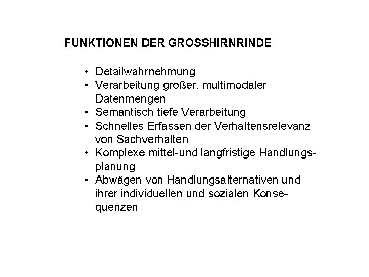 FUNKTIONEN DER GROSSHIRNRINDE • Detailwahrnehmung • Verarbeitung großer, multimodaler Datenmengen • Semantisch tiefe Verarbeitung