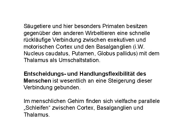 Säugetiere und hier besonders Primaten besitzen gegenüber den anderen Wirbeltieren eine schnelle rückläufige Verbindung