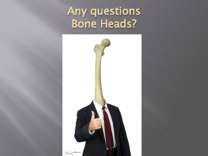 Any questions Bone Heads? 