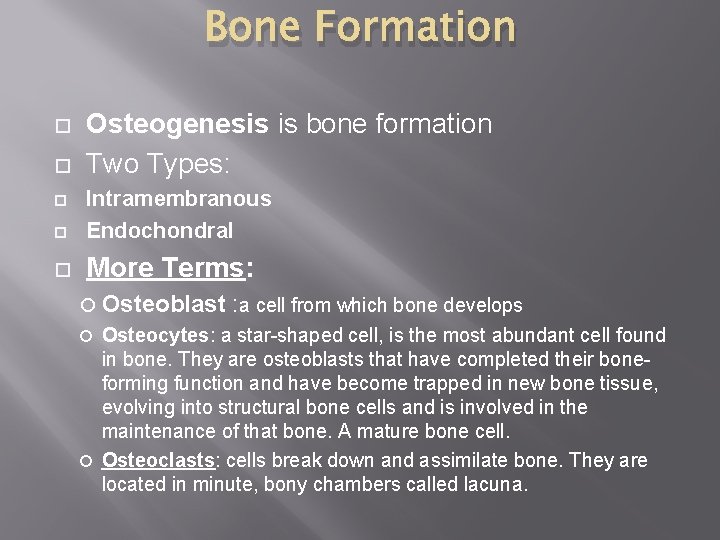 Bone Formation Osteogenesis is bone formation Two Types: Intramembranous Endochondral More Terms: Osteoblast :