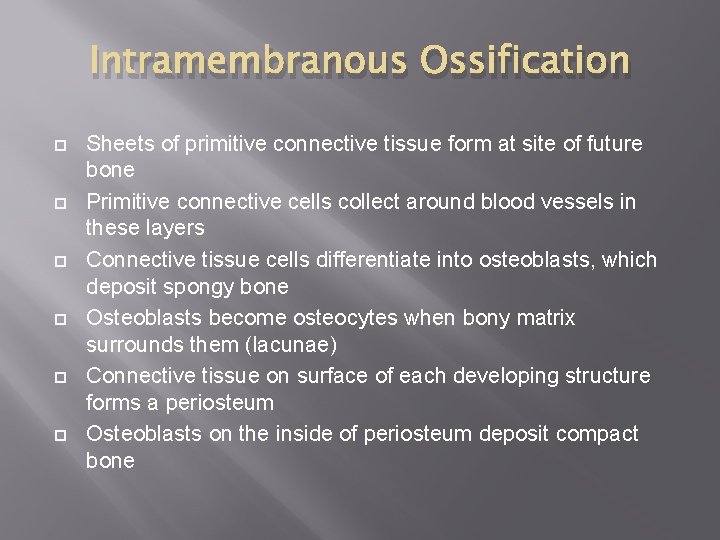Intramembranous Ossification Sheets of primitive connective tissue form at site of future bone Primitive