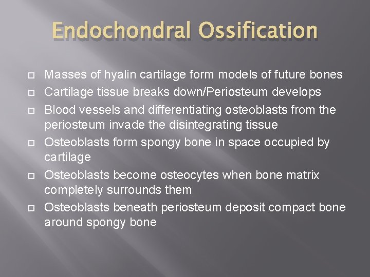 Endochondral Ossification Masses of hyalin cartilage form models of future bones Cartilage tissue breaks
