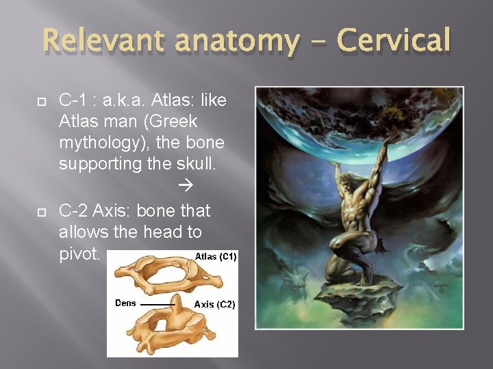 Relevant anatomy - Cervical C-1 : a. k. a. Atlas: like Atlas man (Greek