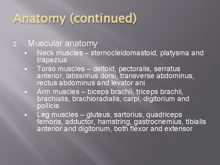 Anatomy (continued) Muscular anatomy 2. § § Neck muscles – sternocleidomastoid, platysma and trapezius
