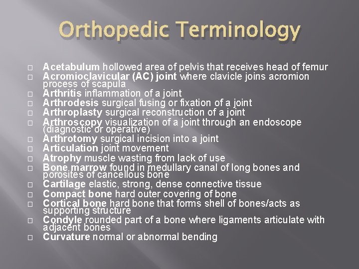 Orthopedic Terminology � � � � Acetabulum hollowed area of pelvis that receives head
