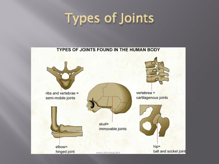 Types of Joints 