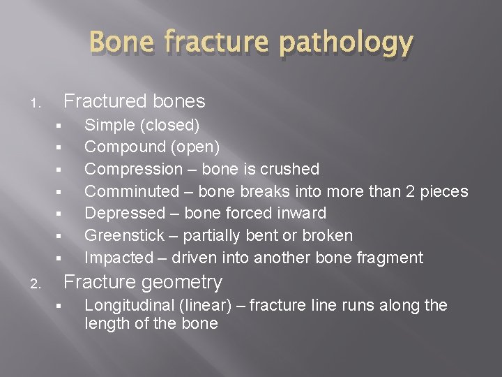 Bone fracture pathology Fractured bones 1. § § § § Simple (closed) Compound (open)