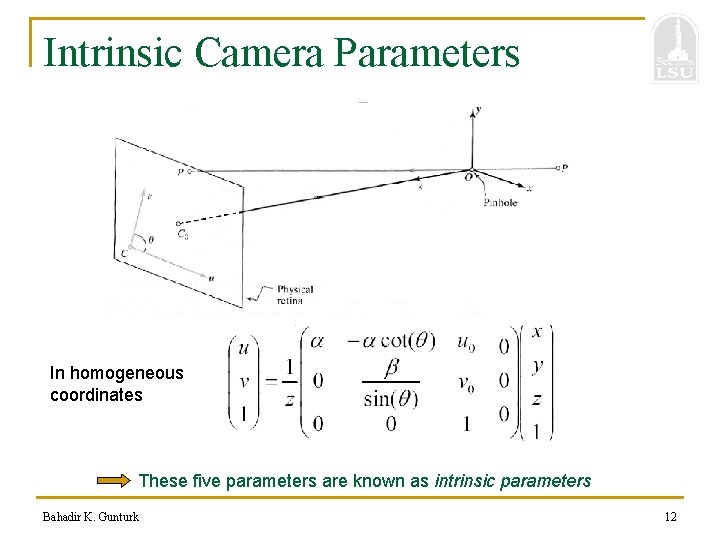 Intrinsic Camera Parameters In homogeneous coordinates These five parameters are known as intrinsic parameters