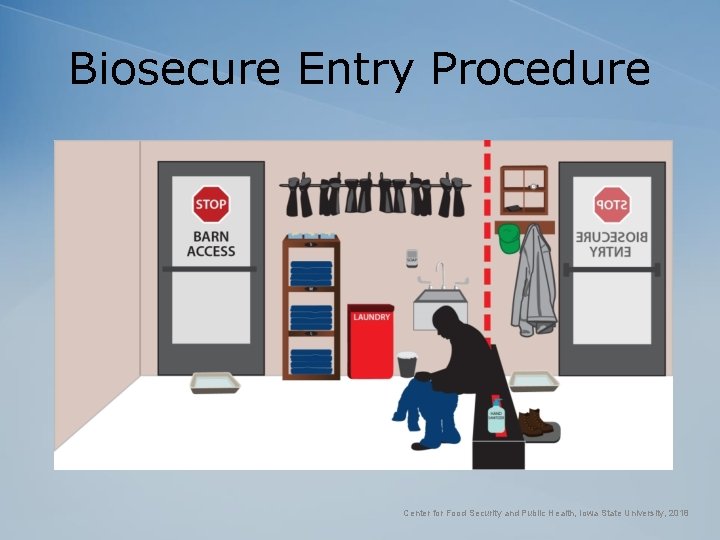 Biosecure Entry Procedure Center for Food Security and Public Health, Iowa State University, 2018