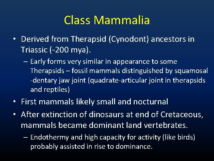 Class Mammalia • Derived from Therapsid (Cynodont) ancestors in Triassic (~200 mya). – Early