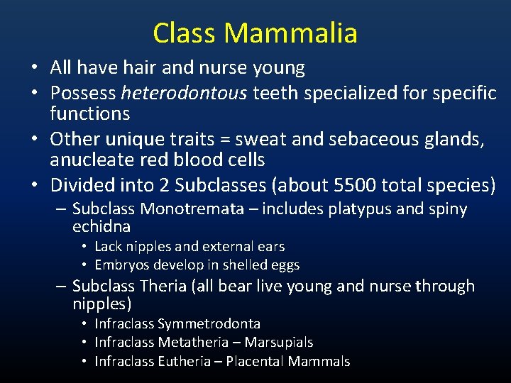 Class Mammalia • All have hair and nurse young • Possess heterodontous teeth specialized