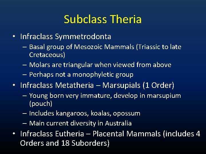 Subclass Theria • Infraclass Symmetrodonta – Basal group of Mesozoic Mammals (Triassic to late