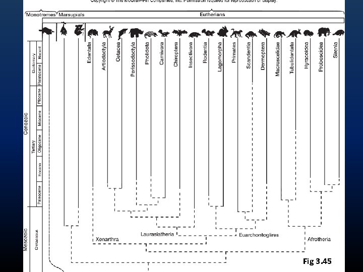 Fig 3. 45 