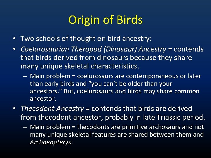 Origin of Birds • Two schools of thought on bird ancestry: • Coelurosaurian Theropod