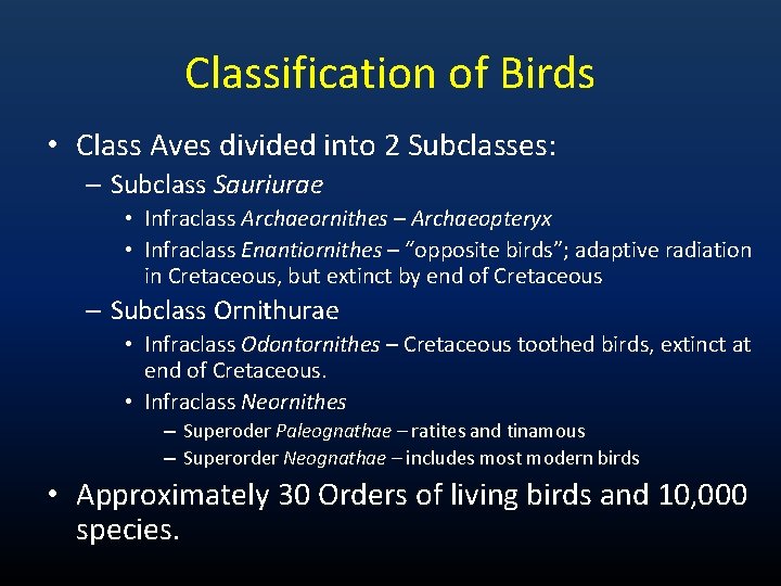 Classification of Birds • Class Aves divided into 2 Subclasses: – Subclass Sauriurae •