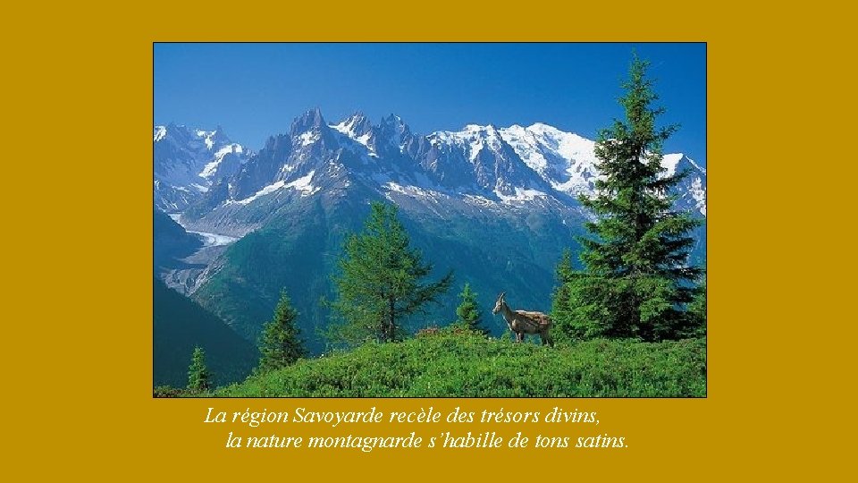 La région Savoyarde recèle des trésors divins, la nature montagnarde s’habille de tons satins.