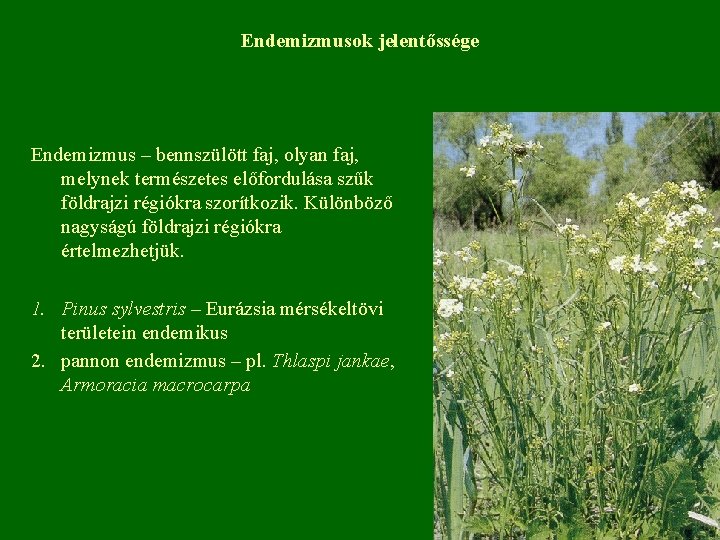 Endemizmusok jelentőssége Endemizmus – bennszülött faj, olyan faj, melynek természetes előfordulása szűk földrajzi régiókra