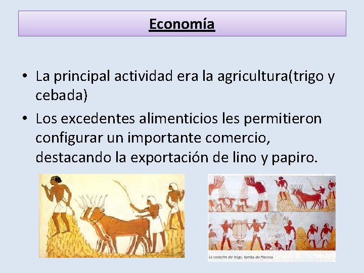 Economía • La principal actividad era la agricultura(trigo y cebada) • Los excedentes alimenticios