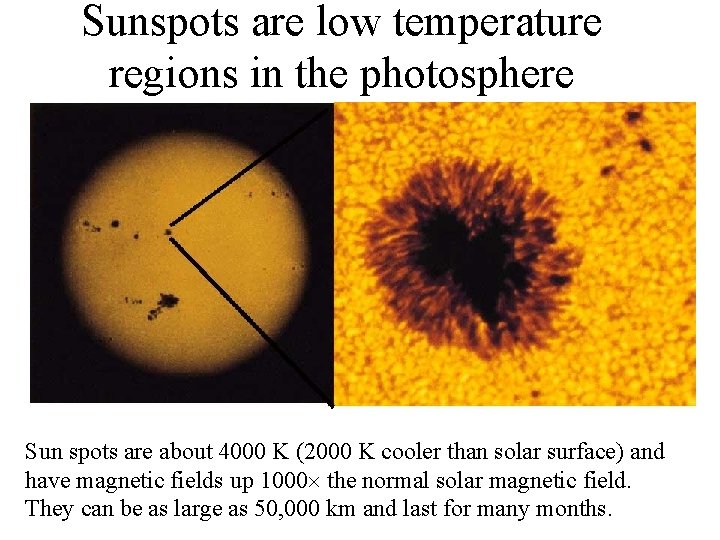 Sunspots are low temperature regions in the photosphere Sun spots are about 4000 K