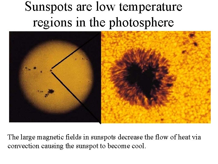 Sunspots are low temperature regions in the photosphere The large magnetic fields in sunspots