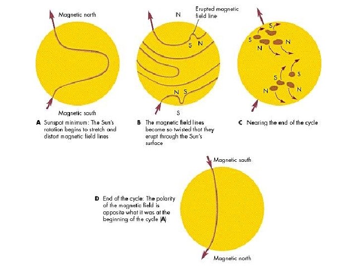 Sunspot cycle Each 11 years, the Sun’s magnetic field changes direction. Overall cycle is