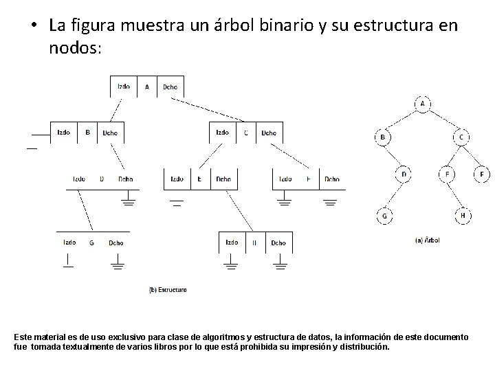 • La figura muestra un árbol binario y su estructura en nodos: Este