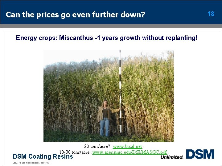 Can the prices go even further down? Energy crops: Miscanthus -1 years growth without