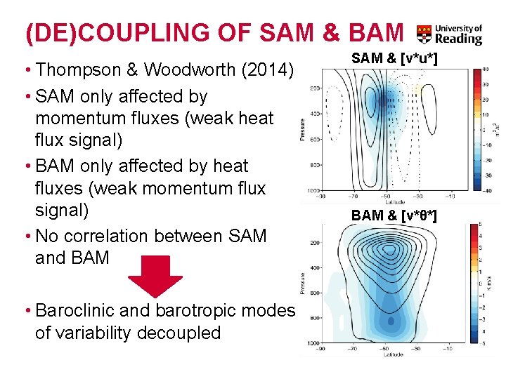 (DE)COUPLING OF SAM & BAM • Thompson & Woodworth (2014) • SAM only affected