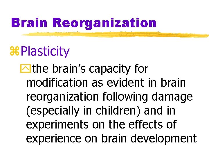 Brain Reorganization z. Plasticity ythe brain’s capacity for modification as evident in brain reorganization