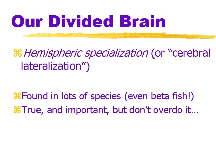 Our Divided Brain z. Hemispheric specialization (or “cerebral lateralization”) z. Found in lots of